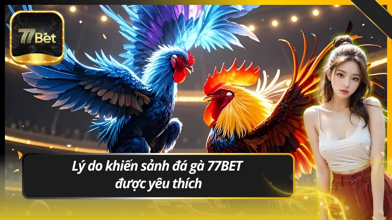 Lý do khiến sảnh đá gà 77BET được yêu thích hàng đầu