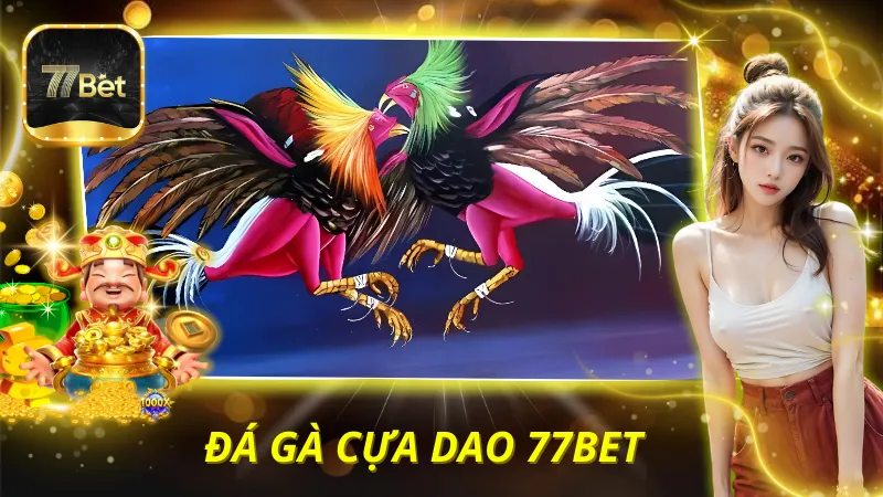 Đá gà cựa dao 77BET