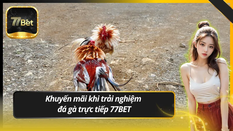 Khuyến mãi khi trải nghiệm đá gà trực tiếp 77BET